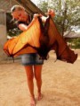/album/animali-dal-web-/a0d55d9d05fe7dd39b30df09f2266499c-jpg/
